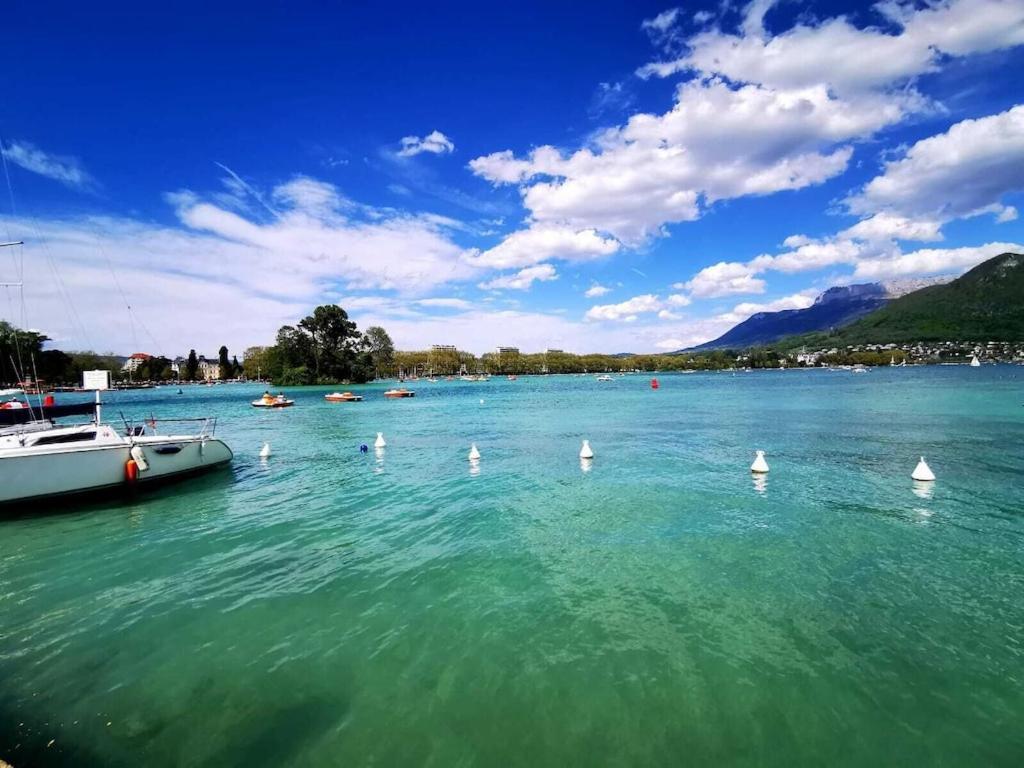 Beau T1 Spacieux, Proche Centre Et Lac Annecy Esterno foto